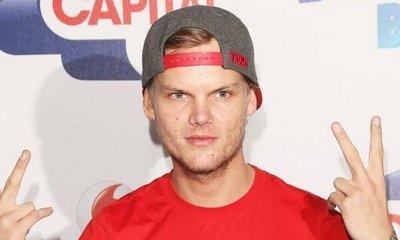 Avicii Announces Retirement From Touring at Age 26