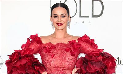 Katy Perry's New Album in the Works, Tour to Follow in 2017