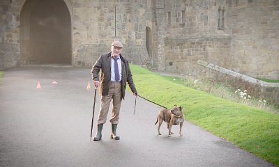 Watch Anthony Hopkins Film Scene With Freya the Loneliest Dog for 'Transformers: The Last Knight'