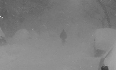 Cashmere Cat Releases New Single 'Trust Nobody' Ft. Selena Gomez
