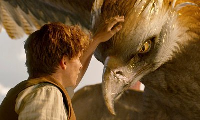 J.K. Rowling Debunks 'Fantastic Beasts 2' Setting Rumor, David Yates Isn't Yet Hired for All Sequels