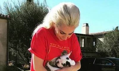Meet New Addition to Lady GaGa's Family!