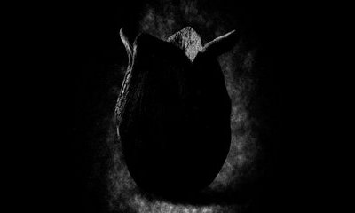 'Alien: Covenant' Teaser Shows Xenomorph Egg