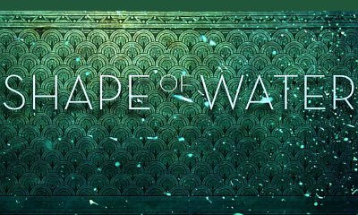 Details About Guillermo del Toro's 'The Shape of Water' Unveiled