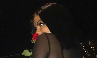 Ariel Winter Sports Racy Lingerie in a See-Through Top for a Valentine's Day Date