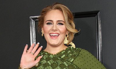 Adele Blasts Cruel Trolls Saying She Looked Like 'Shrek' Ogre Princess Fiona in Her Grammys Gown