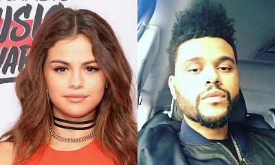 Selena Gomez Cheers on The Weeknd at Brazilian Concert