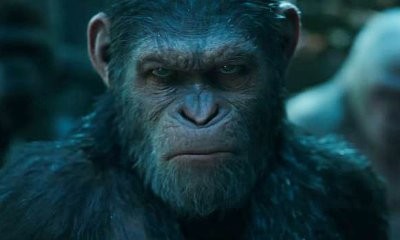 Watch Teaser of 'War for the Planet of the Apes' New Trailer