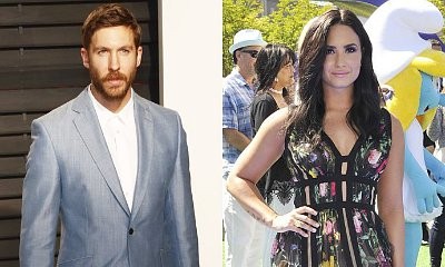 Publicly Flirting? Calvin Harris Likes Demi Lovato's Sexy Pic on Instagram
