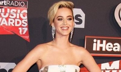 Katy Perry Courted to Be Judge on 'American Idol' Reboot