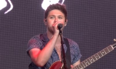 Niall Horan Debuts New Single 'On the Loose'