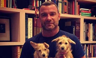 Liev Schreiber Adopts Orphan Puppies From Texas After Hurricane Harvey