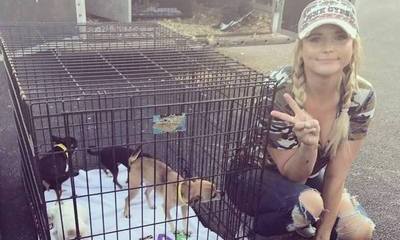 Miranda Lambert Helps Save Hundreds of Dogs After Hurricane Harvey