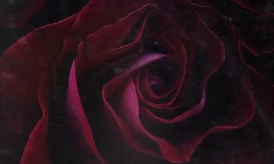 Chris Brown Unveils Melancholy Track 'Him or Me' - Listen!