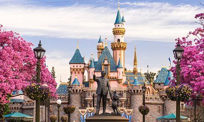 Disneyland Visitors Stuck on Rides During Power Outage