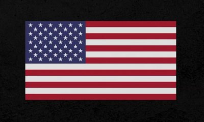 Chris Brown Responds to Donald Trump's SOTU in New Track 'State of the Union'