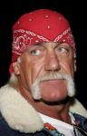 The Hogans Divorce May Be Ruse