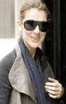 Celine Dion Plots 'Taking Chances World Tour'