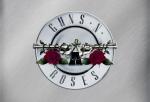 Guns N' Roses to Sue a Website Over Songs Leak