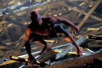 'Spider-Man 4' Could End Up a 3-D Movie