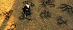 'Transformers 2' Symbols Are Map to the Robots' Source