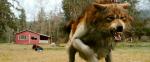 Behind-the-Scenes of 'New Moon' With Taylor Lautner and Kristen Stewart