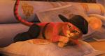 'Puss in Boots' to Feature All New Characters