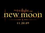 'The Twilight Saga's New Moon': Pic of Volturi Members Leaked