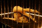 Shakira Brings Out Music Video for 'La Loba'