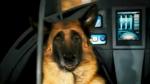 'Cats and Dogs: The Revenge of Kitty Galore' Gets New Trailer