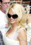 Pamela Anderson Calls Twitter Followers to Save Birds