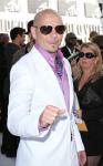Pitbull Scraps Concert Due to Fractured Hand