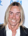 Iggy Pop Pulls the Plug on His Own Biopic