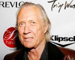 Former Sister-in-Law Demands David Carradine's Estate