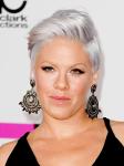 Pink Feared She Would Be 'Paralyzed' for Life After Concert Crash