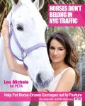 Video: Lea Michele Urges People to Boycott Horse-Drawn Carriages
