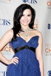 Report: Demi Lovato Joins Counseling for Eating Disorder