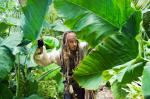 'On Stranger Tides' Set as Cannes' Out-of-Competition Film