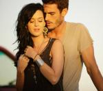 Hot Guy in Katy Perry's Music Video Arrested for Battery