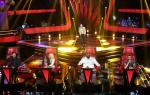'The Voice' Coaches Complete Their Teams, Lady GaGa's Backup Singer Nabs a Spot