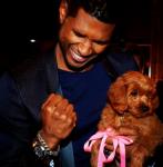 Usher Bids $12,000 to Get New Puppy