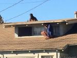 'Sparkle' Actress Melora Rivera Hides From Intruder on Roof