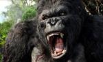 New 'King Kong' Film 'Skull Island' Gets Retitled, Is Delayed for 2017
