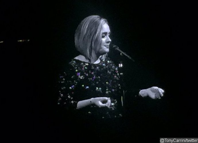 Adele Dedicates Her Show to 'Brangelina' Amid Brad Pitt and Angelina Jolie's Divorce