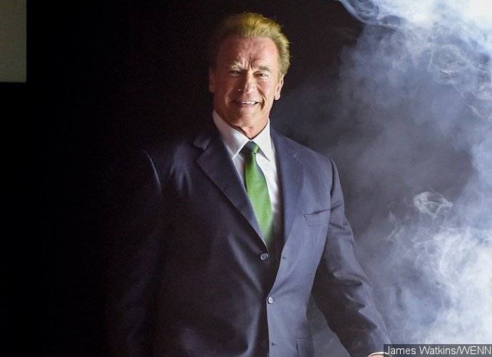 Arnold Schwarzenegger Denies Senate Run Rumors