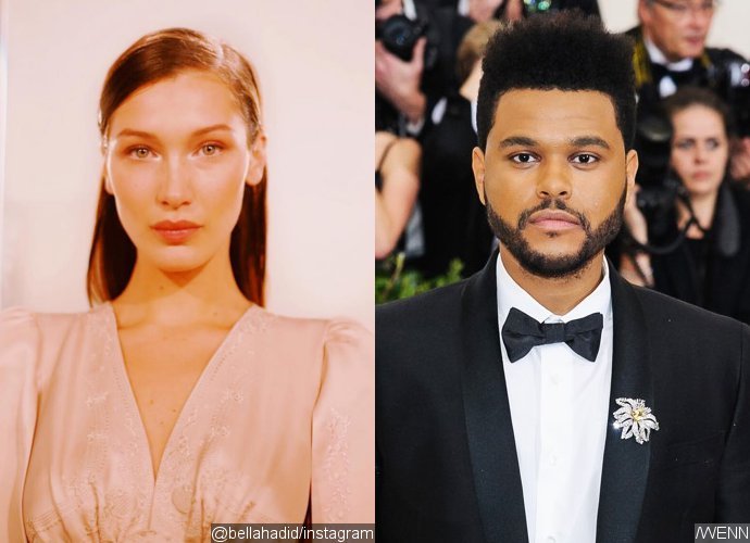 Bella Hadid and The Weeknd to Rekindle Romance in 'a Matter of Time'