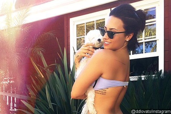 Bikini-Clad Demi Lovato Flaunts Toned Body in Instagram Photo