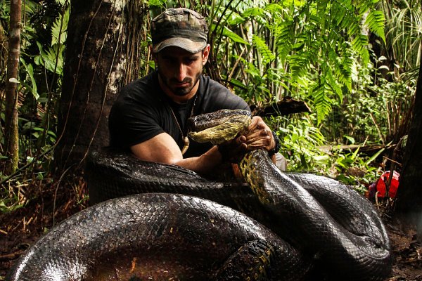 Discovery Channel's 'Eaten Alive' Disappoints Viewers With Failed Stunt