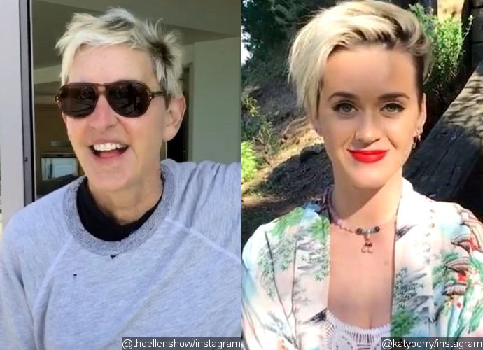 Ellen DeGeneres Slammed for Tweet About Katy Perry's Breasts, Compared to Harvey Weinstein