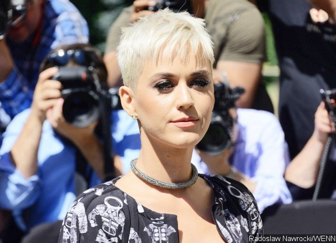 Katy Perry Gets Cozy With Mystery Man in Denmark
